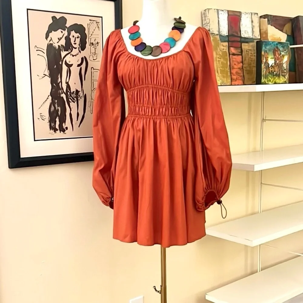 NWT Staud,Form Flattering Bow Dress Puff Sleeve Mini Rust Red, Boho, Lux,Size 6 - Picture 7 of 9